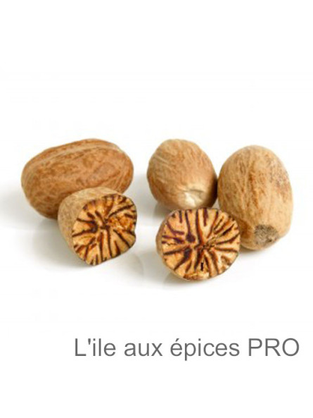 Grossiste Noix de muscade entières pro