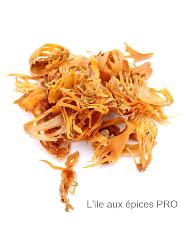 Grossiste Fleurs de macis de muscade pro Grossiste Fleurs de macis de muscade pro