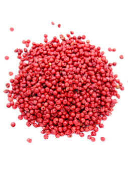 Vente en gros Baies roses pro