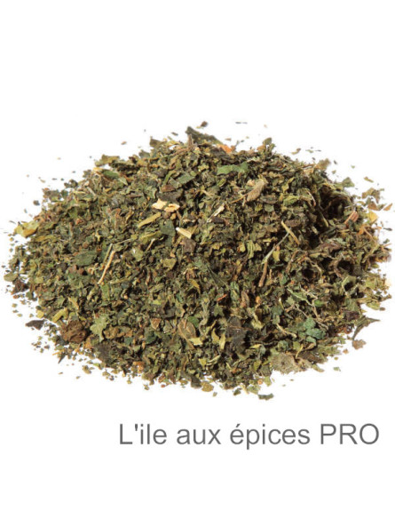 Vente en gros Feuilles d'ortie verte pro