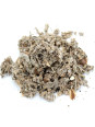 Vente en gros Feuilles d'artichaut pour tisane pro Vente en gros Feuilles d'artichaut pour tisane pro