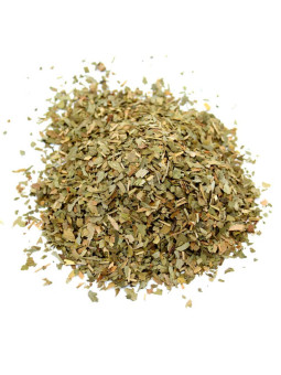 Vente en gros Feuilles de Ginkgo biloba séchées pro