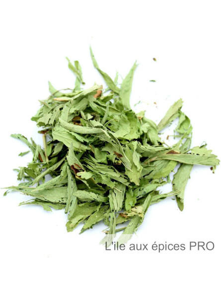 Vente en gros Feuilles de stevia séchées pro