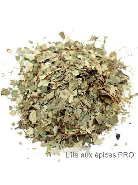 Vente en gros Feuilles de bouleau séchées pour tisane et infusion pro