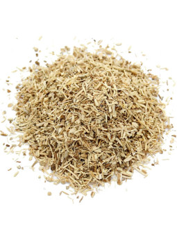 Racines de chicorée pour infusion pro
