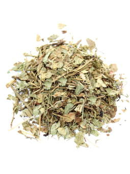 Vente en gros Feuilles de myrtille séchées pour tisane et infusion pro