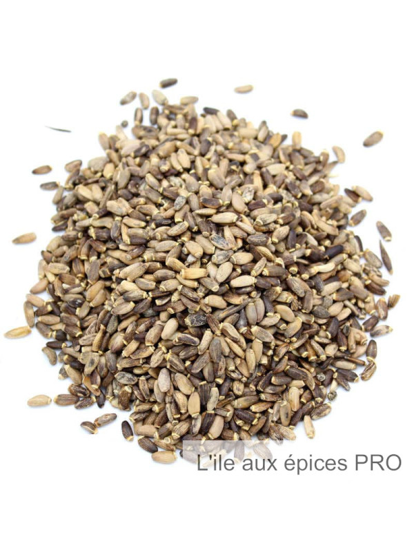 Vente en gros Graines de chardon marie pro Vente en gros Graines de chardon marie pro