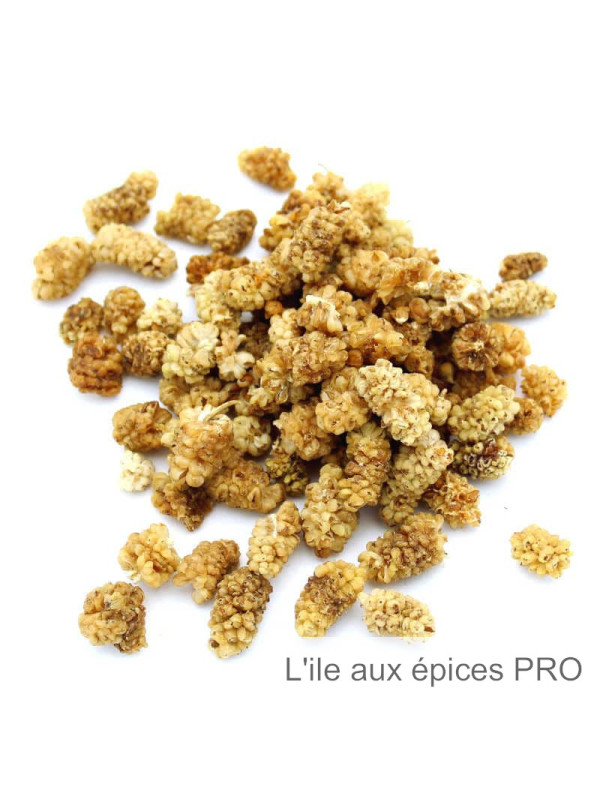 Vente en gros Mures blanches séchées (mulberries) pro