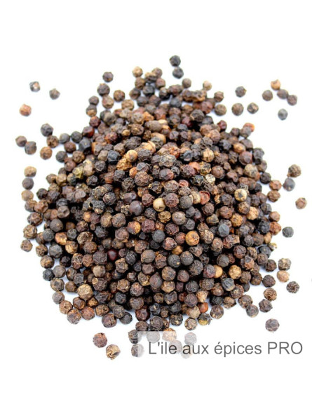 Vente en gros Poivre noir de Tellicherry TGSEB bio pro