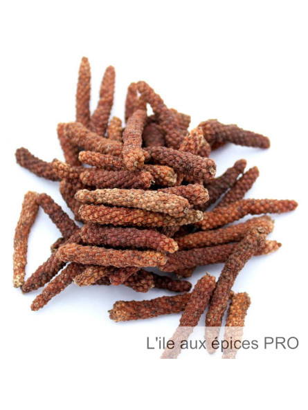 Vente en gros Poivre long rouge de Kampot pro