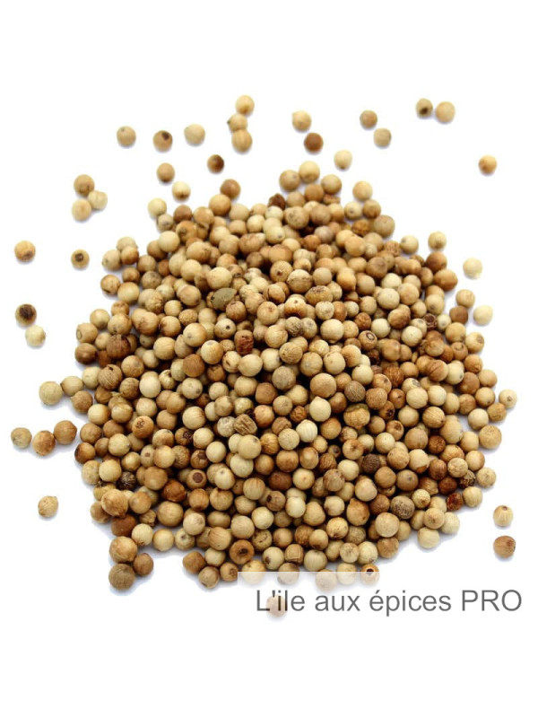 Vente en gros Poivre blanc fumé du Sri Lanka biologique pro