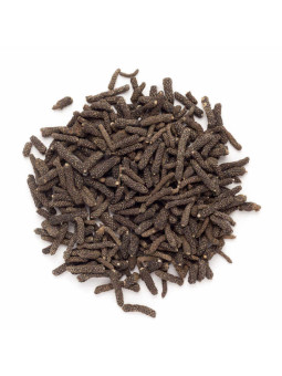 Vente en gros Poivre long du Népal (poivre choco) pro