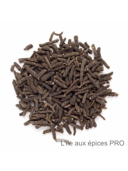 Vente en gros Poivre long du Népal (poivre choco) pro Vente en gros Poivre long du Népal (poivre choco) pro