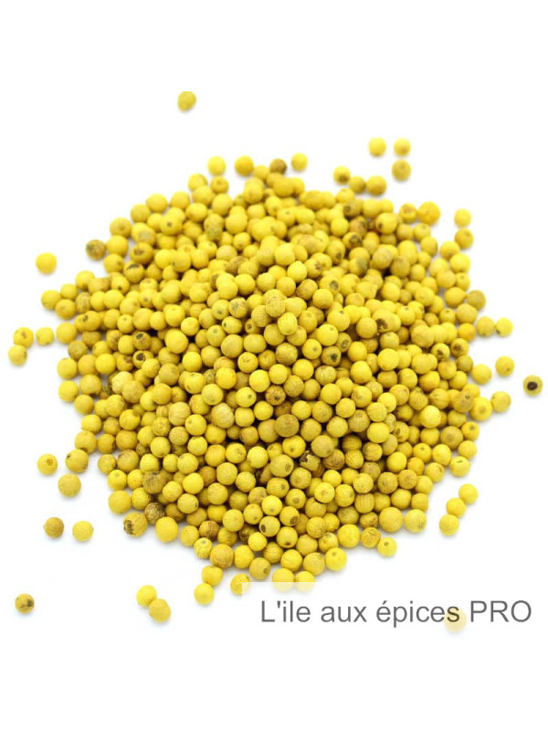 Vente en gros Poivre au citron bio pro