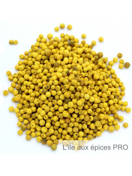 Vente en gros Poivre à l'orange bio pro