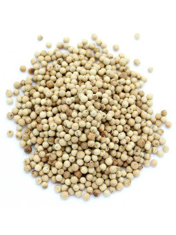 Vente en gros Poivre des femmes bio pro