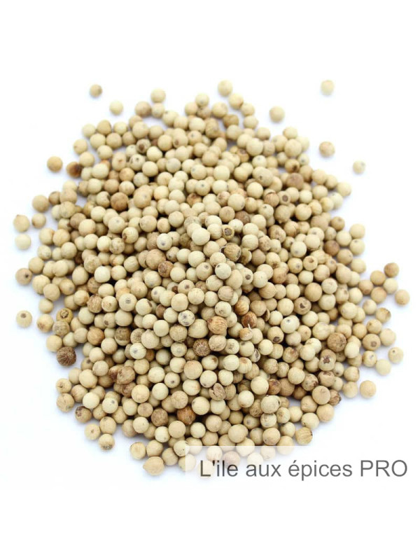 Vente en gros Poivre des femmes bio pro