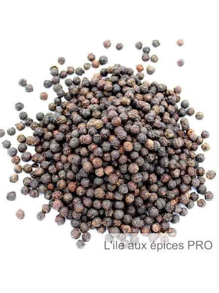 Vente en gros Poivre de Mondolkiri du Cambodge pro Vente en gros Poivre de Mondolkiri du Cambodge pro