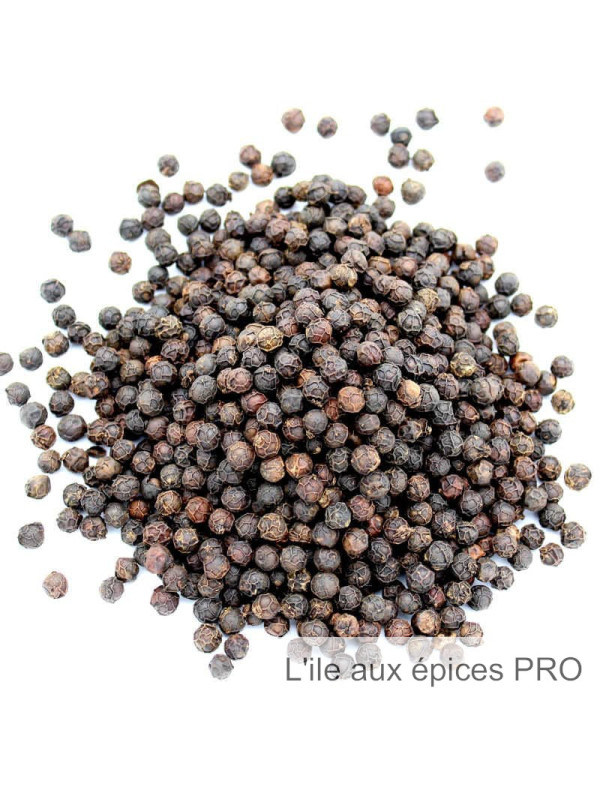 Vente en gros Poivre de Mondolkiri du Cambodge pro Vente en gros Poivre de Mondolkiri du Cambodge pro
