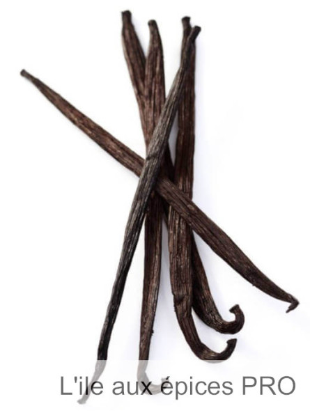 Vente en gros gousses de vanille bourbon (Madagascar) pro