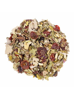 grossiste Infusion amincissante pro