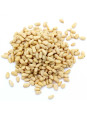 Grossiste Pignons de pin bio pro