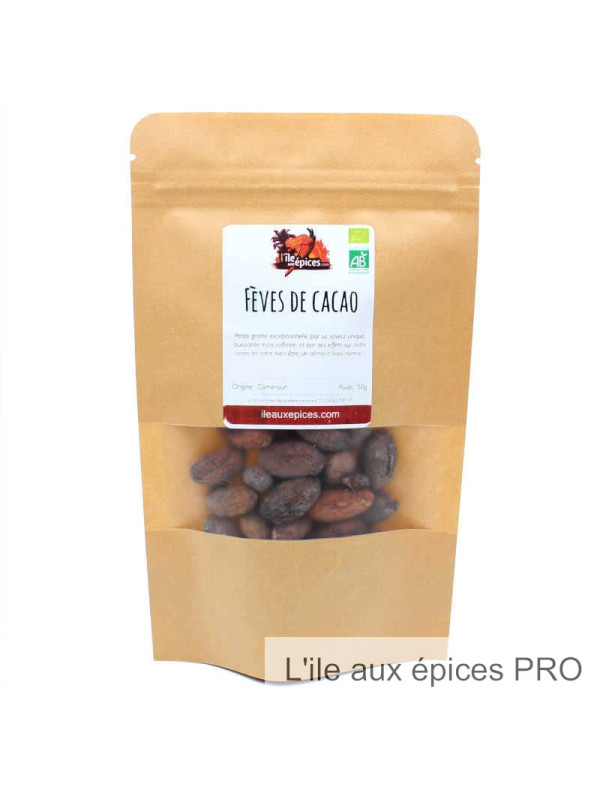 Fournisseur Sachet de Fèves de cacao bio au kilo
