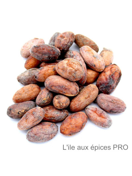 Grossiste Fèves de cacao crues pro