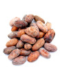 Grossiste Fèves de cacao crues pro