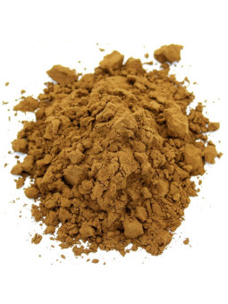 Grossiste Extrait de bois bandé Muira puama en poudre pro