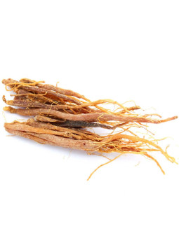 Grossiste Racines de ginseng rouge séchées panax pro