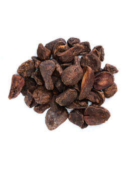 Grossiste Noix de kola séchées pro