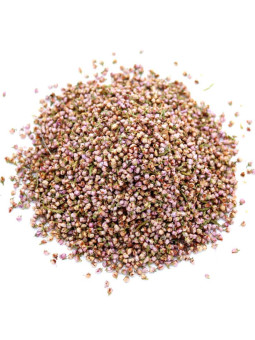 Grossiste Fleurs de Bruyère séchées pour tisane pro