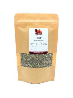 Fournisseur Sachet d'épilobe séchée pour infusion au kilo
