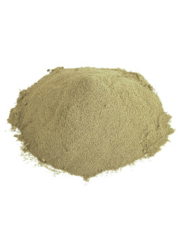 Grossiste Poudre de Neem bio pro