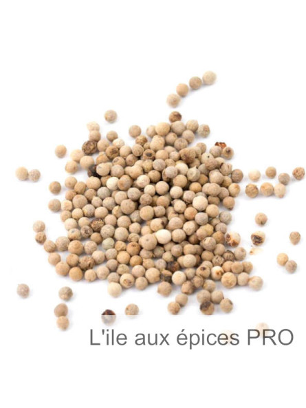 Grossiste de poivre de malabar blanc bio pro