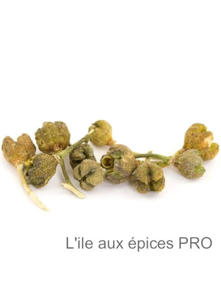 Grossiste Baies de la passion pour pro