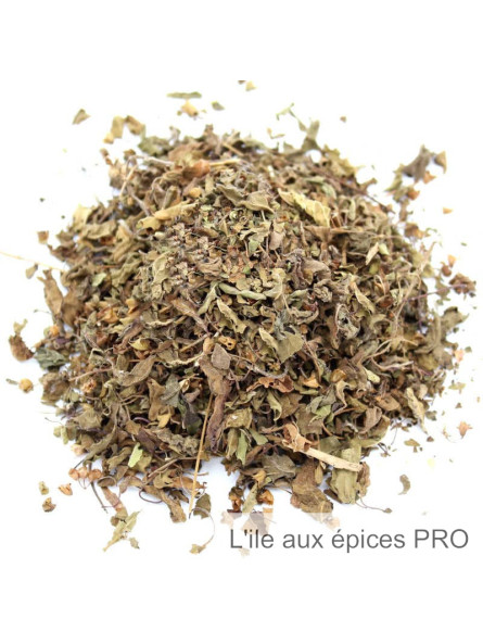 Grossiste Tulsi indien herbe sacrée pro